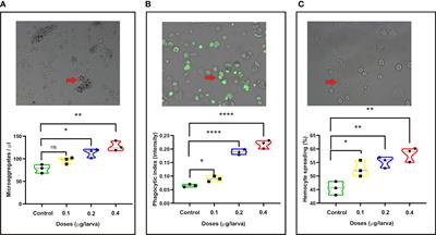 Transcriptome analysis reveals immune and metabolic regulation effects of Poria cocos polysaccharides on Bombyx mori larvae